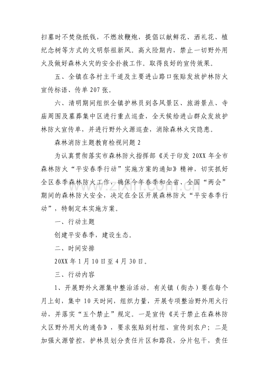 森林消防主题教育检视问题范文(3篇).pdf_第2页