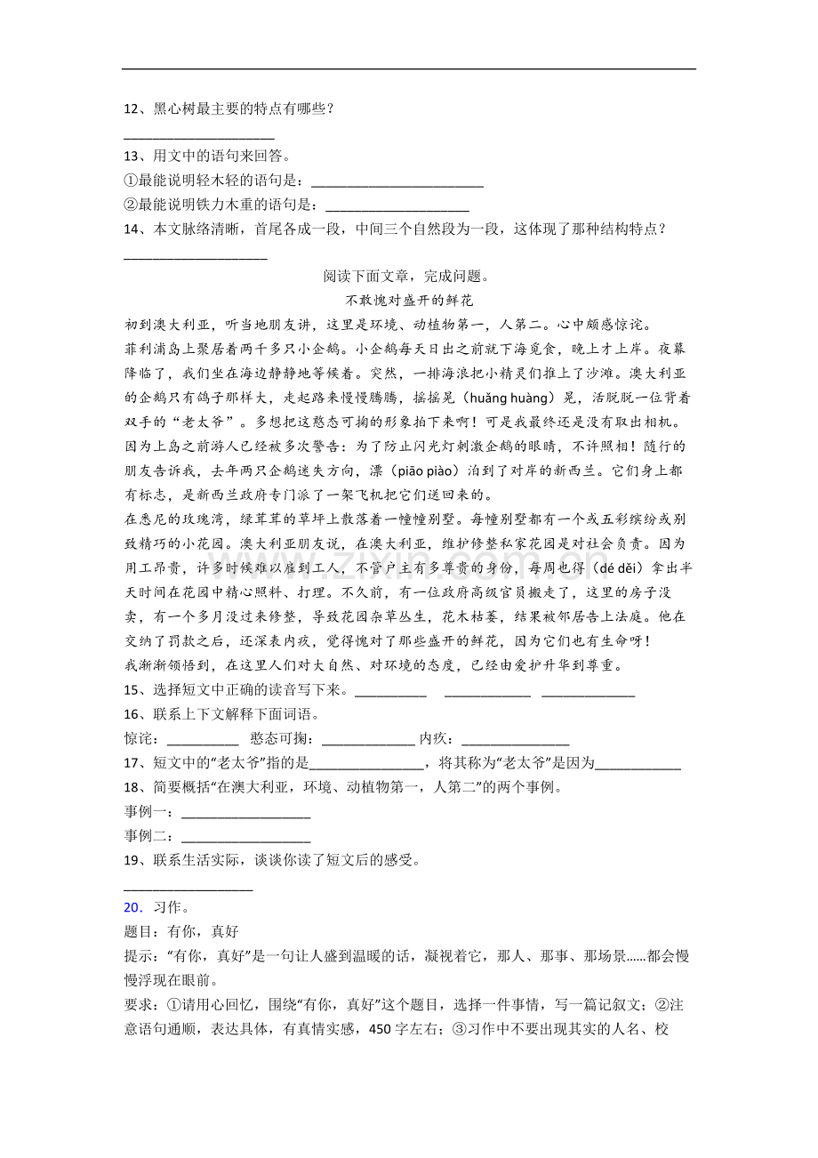 部编版语文六年级上册期末培优试卷测试卷(附答案解析).docx_第3页