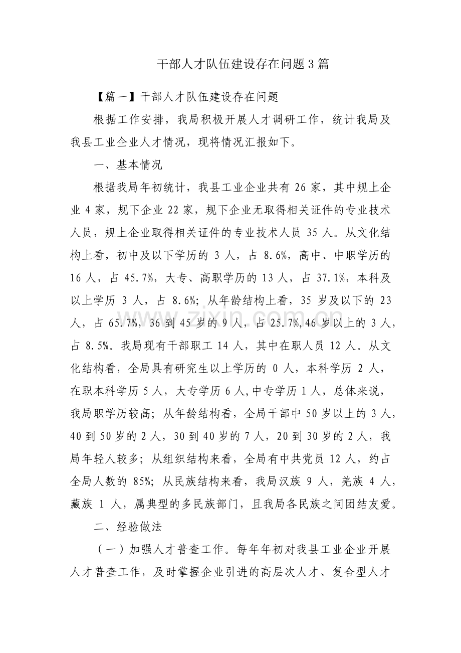 干部人才队伍建设存在问题3篇.pdf_第1页