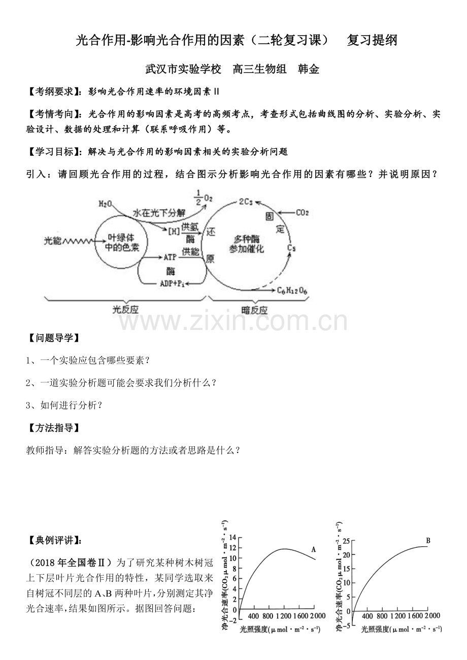 影响光合作用的环境因素.docx_第1页