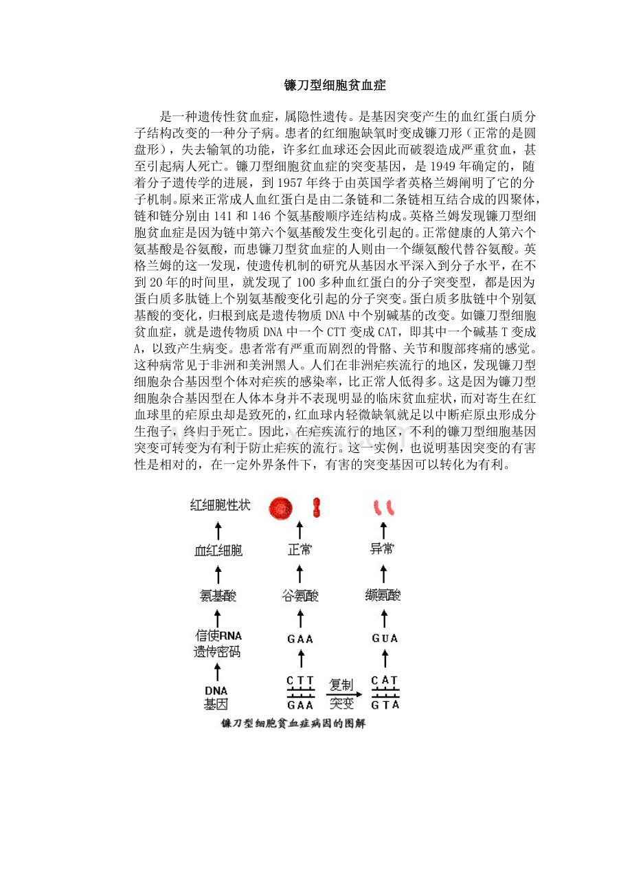 镰刀型细胞贫血症.doc_第1页