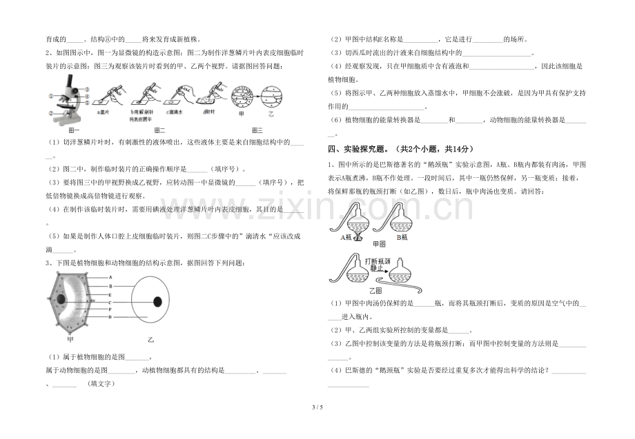 初中七年级生物(上册)期末试卷及答案.doc_第3页