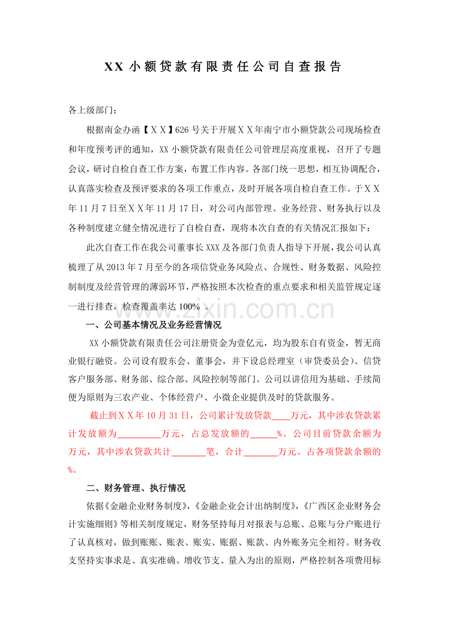 小额贷款有限责任公司自查报告.doc_第1页