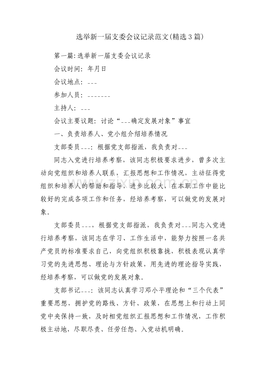 选举新一届支委会议记录范文(3篇).pdf_第1页