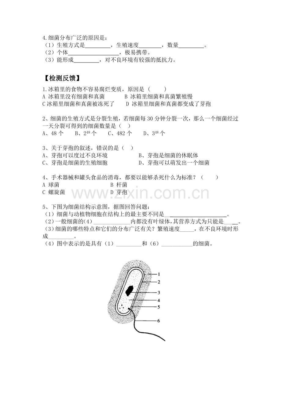 细菌导学案.doc_第2页