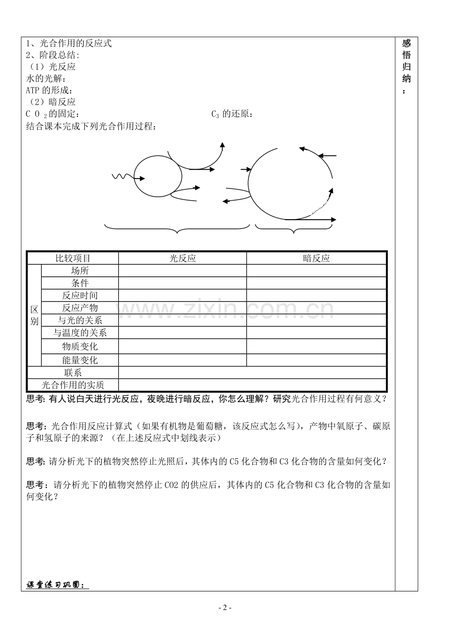 光合作用的过程.doc_第2页