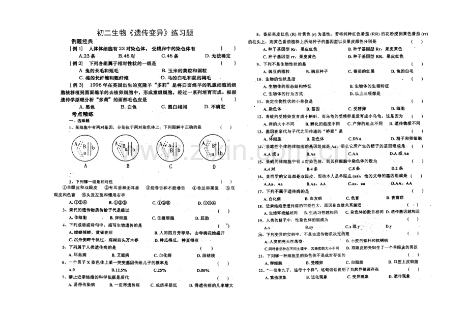 初二生物遗传变异练习题.doc_第1页