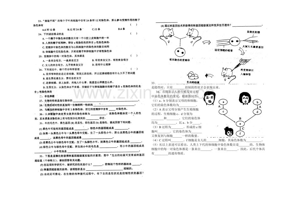 初二生物遗传变异练习题.doc_第2页