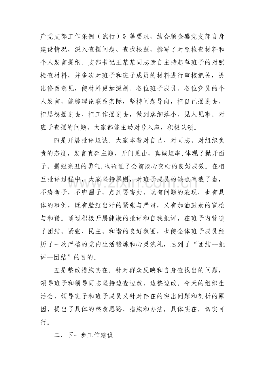 组织生活会督导组点评【3篇】.pdf_第2页