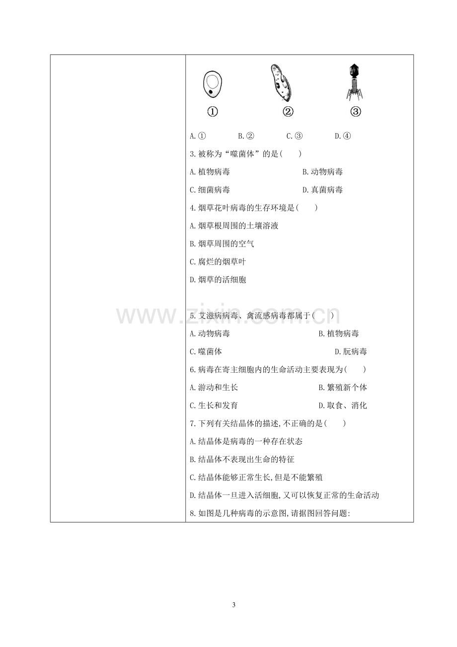 第五章病毒.doc_第3页