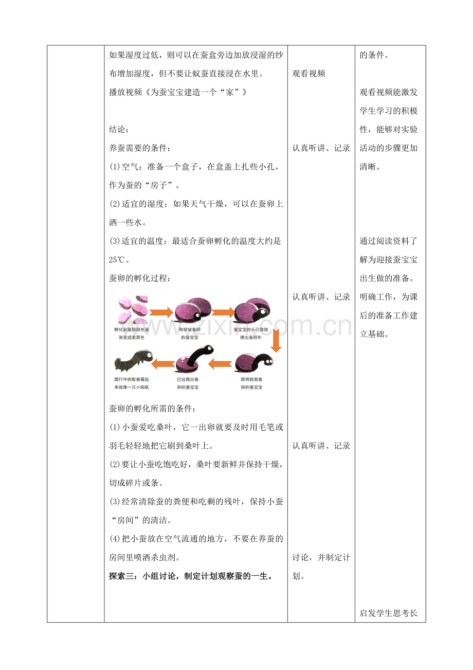 (新教材)(教科版)小学科学三年级下册2.1迎接蚕宝宝的到来(教案).doc_第3页