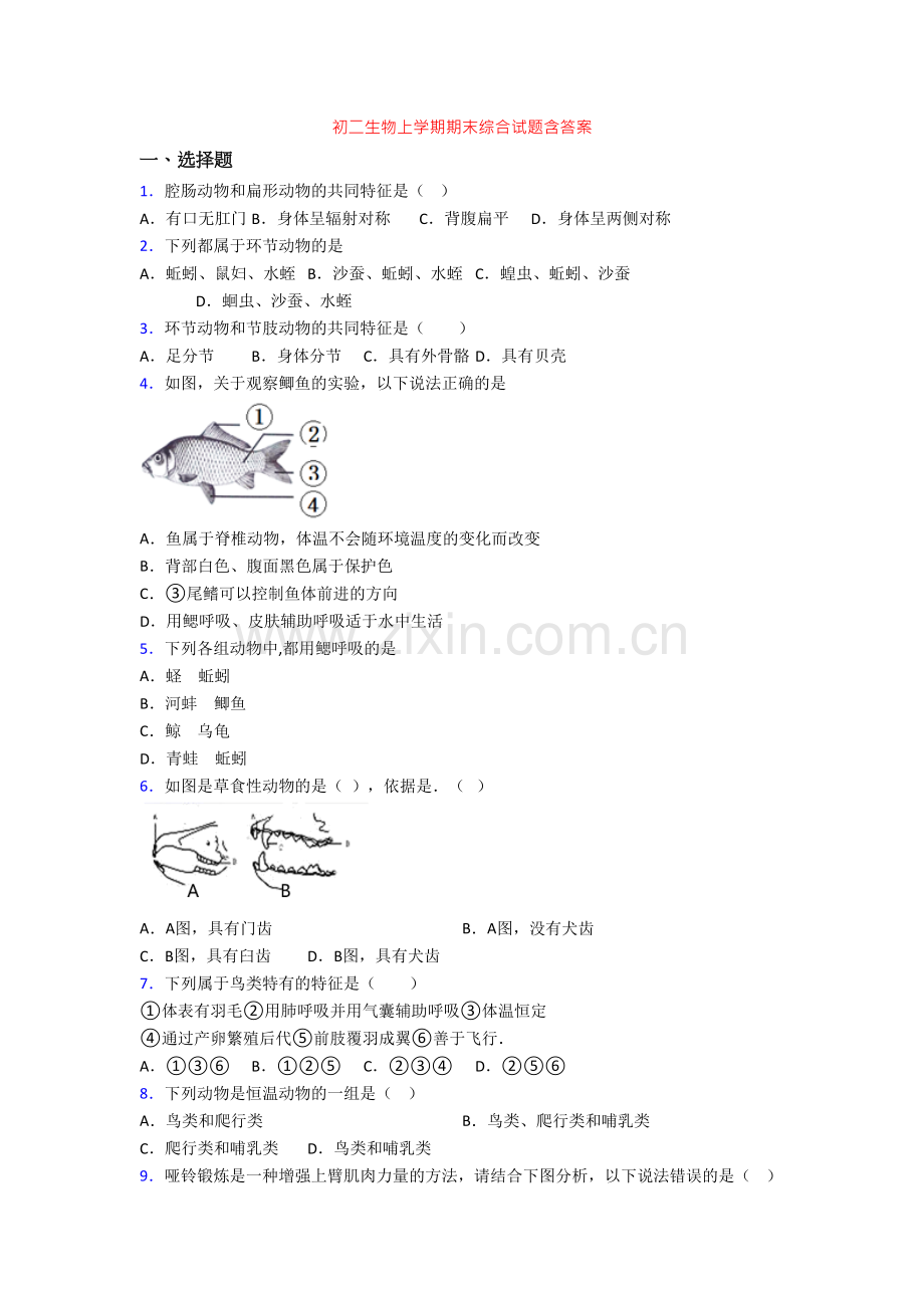 初二生物上学期期末综合试题含答案.doc_第1页