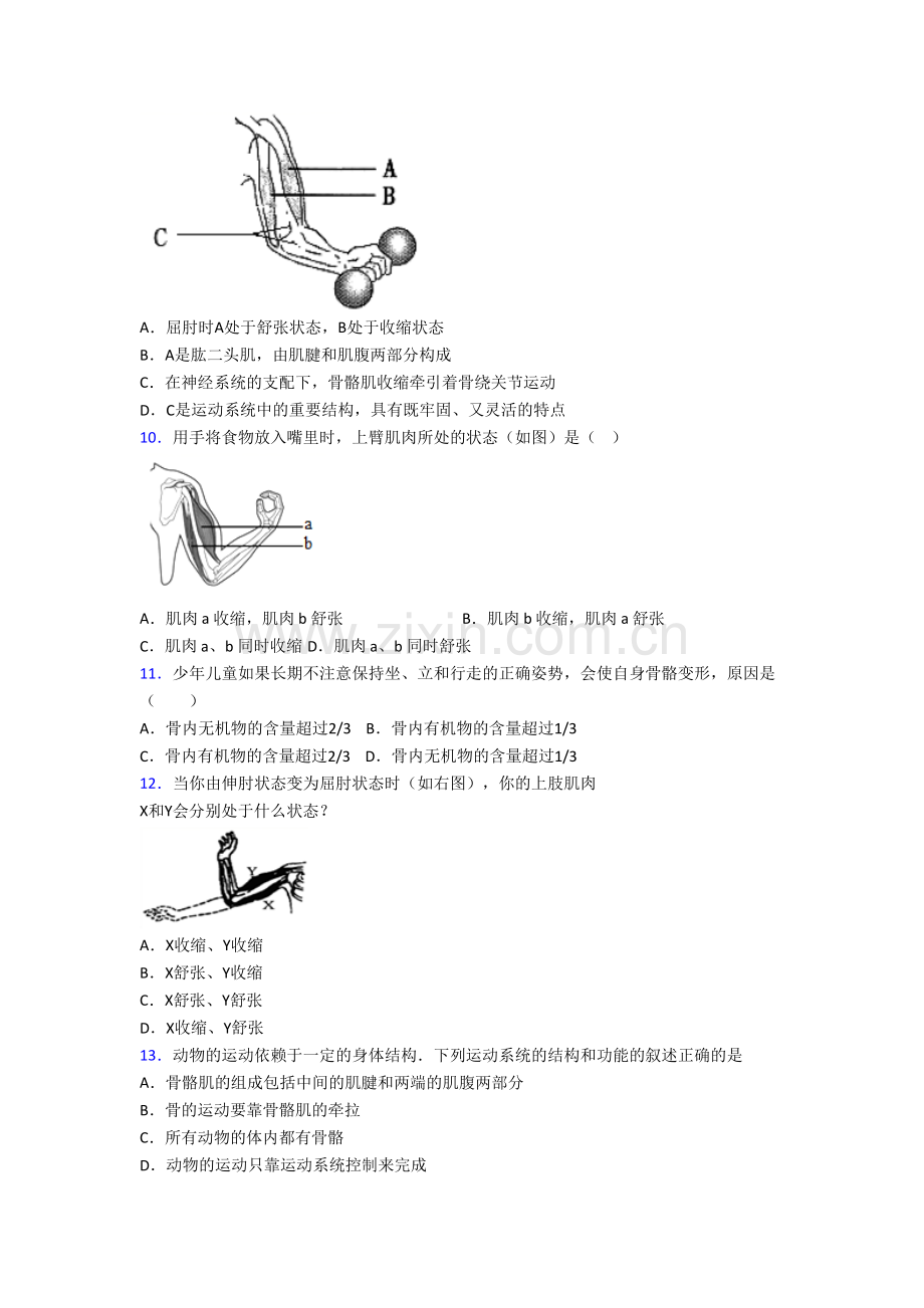 初二生物上学期期末综合试题含答案.doc_第2页