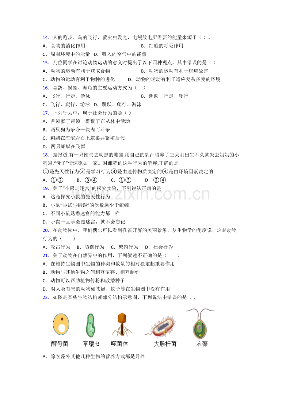 初二生物上学期期末综合试题含答案.doc_第3页