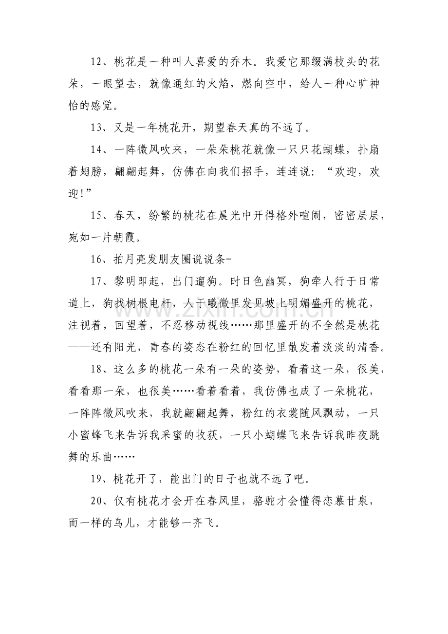 桃花开的朋友圈说说范文(通用3篇).pdf_第2页