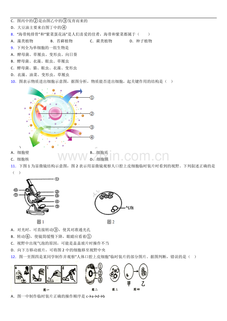 人教版七年级上册期末生物期末试卷及答案.doc_第2页