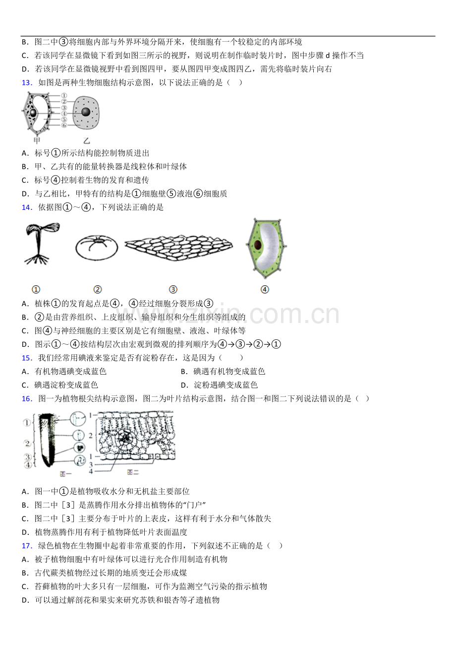 人教版七年级上册期末生物期末试卷及答案.doc_第3页