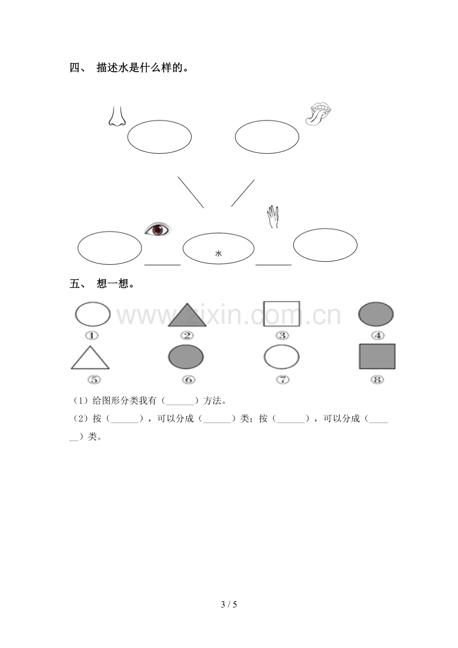 人教版一年级科学下册期中试卷及答案.doc_第3页