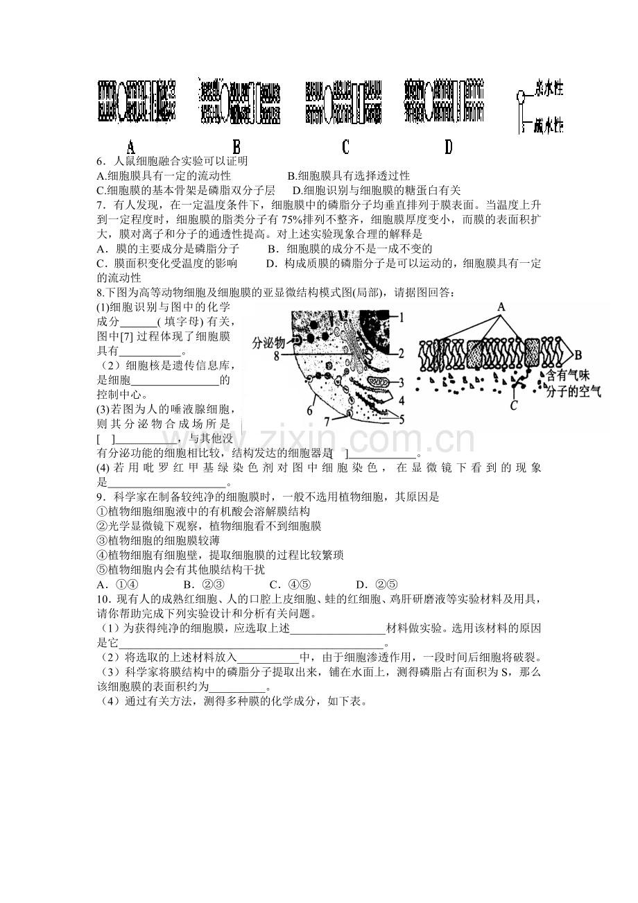 专题二细胞的基本结构.docx_第2页