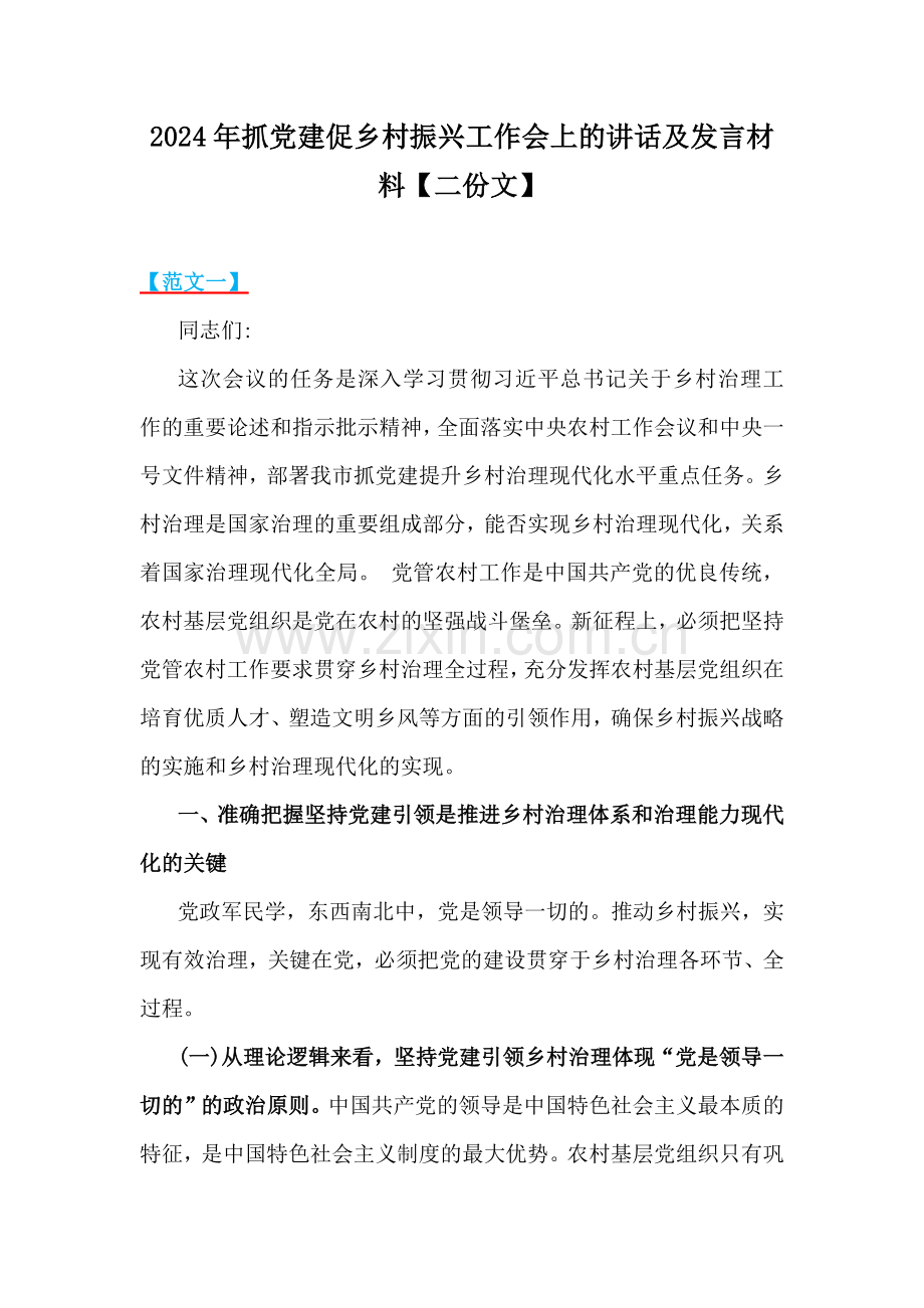 2024年抓党建促乡村振兴工作会上的讲话及发言材料【二份文】.docx_第1页