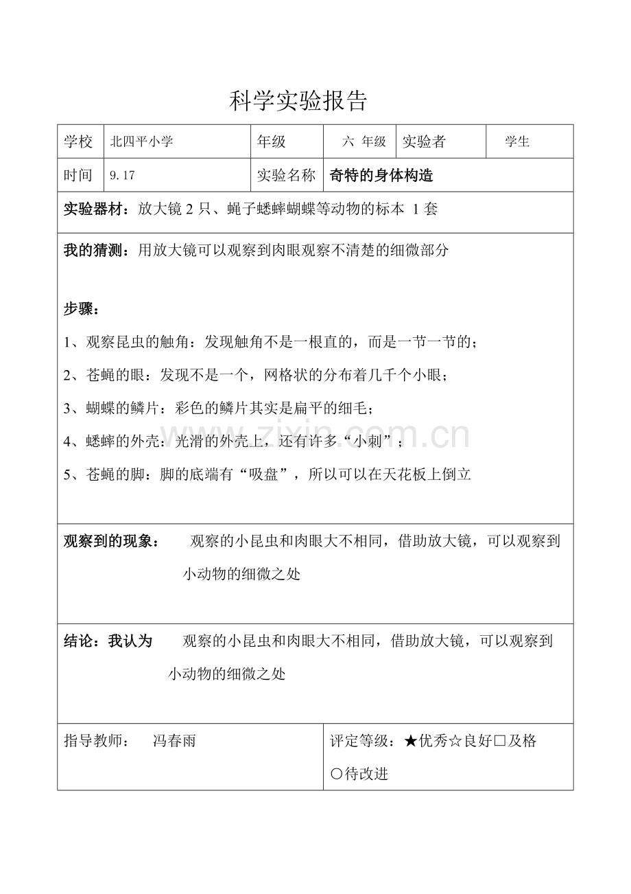 教科版六年级科学上册实验报告.doc_第3页