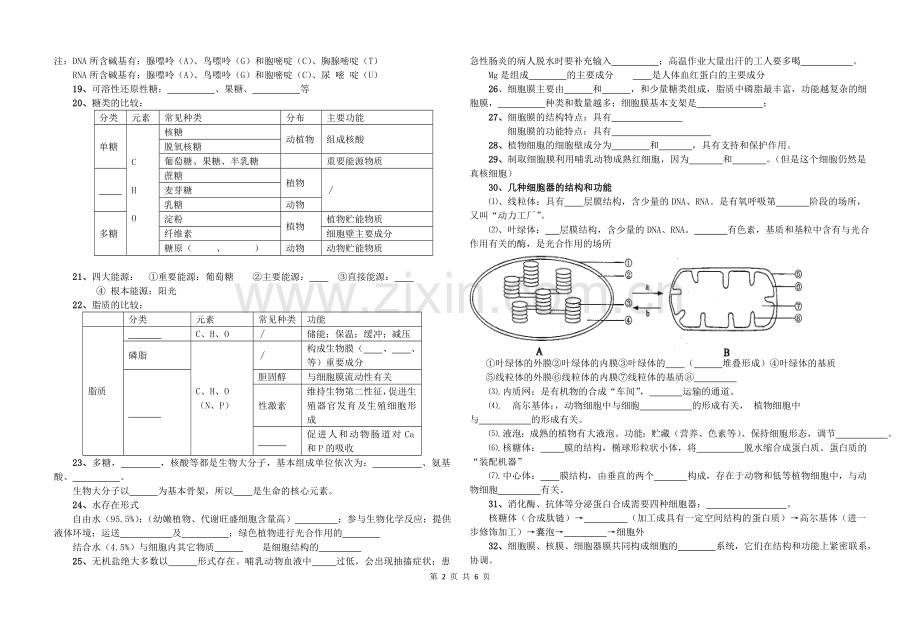 生物第一轮复习知识点填空.doc_第2页