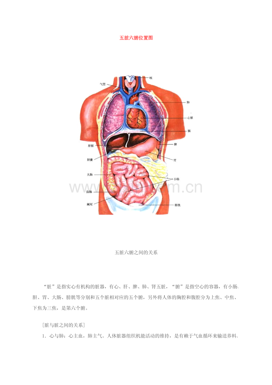 五脏六腑位置.pdf_第1页