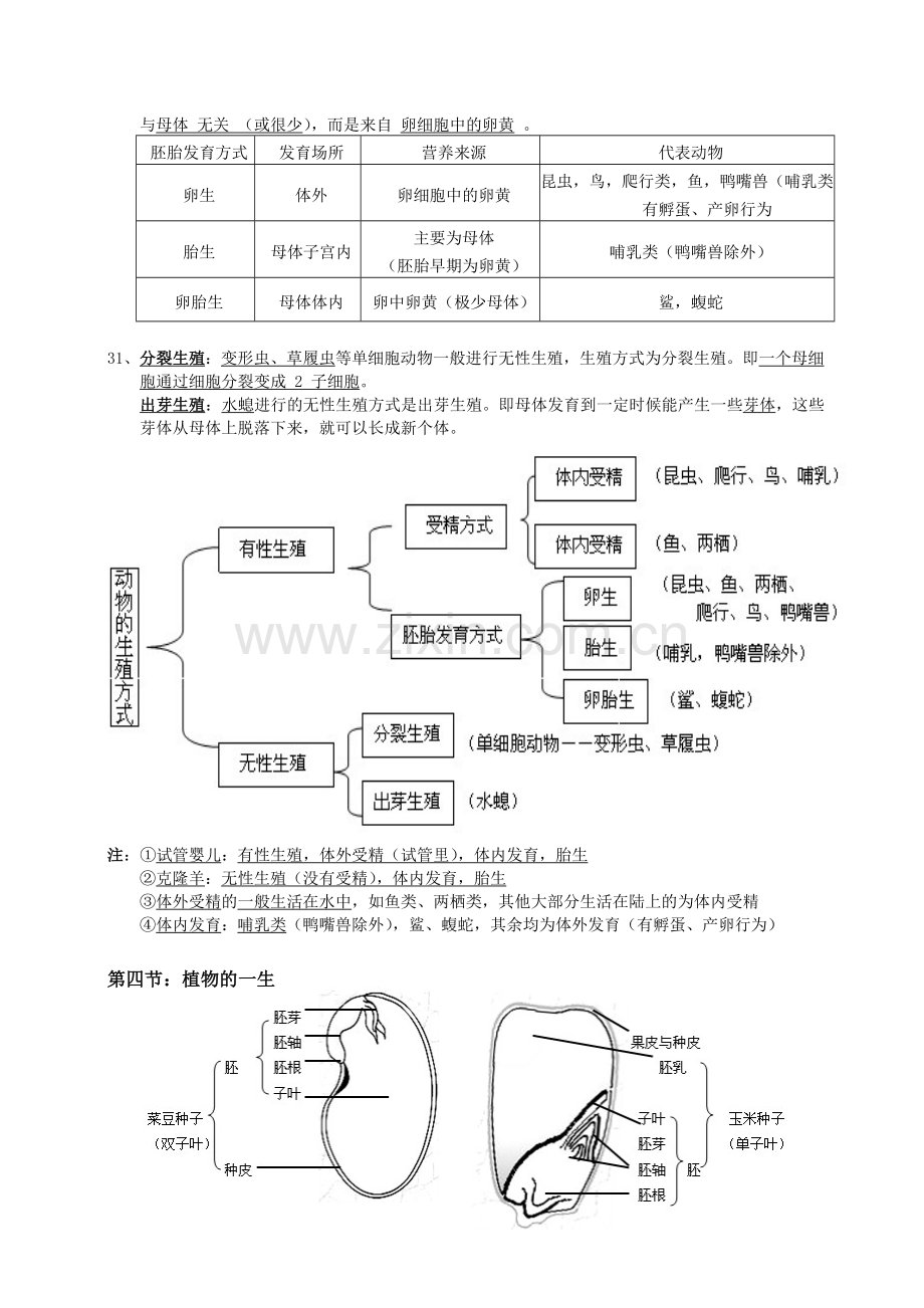 浙教版科学七年级下第一章复习提纲.doc_第3页