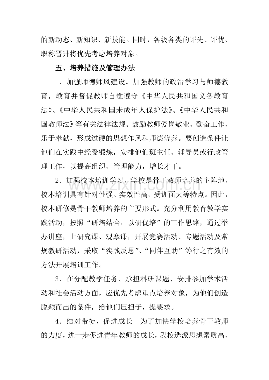 骨干教师培训计划与措施.doc_第3页