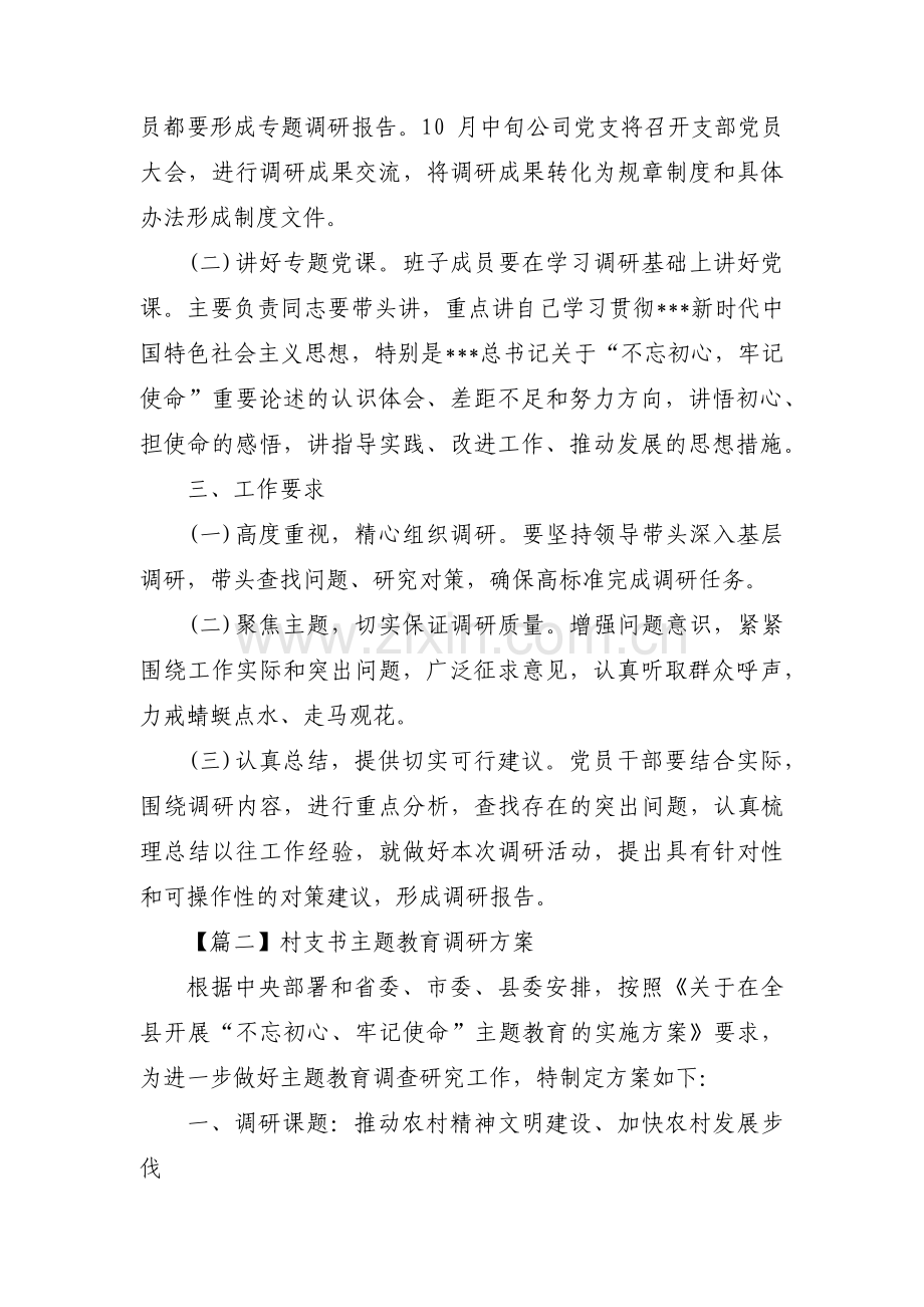 村支书主题教育调研方案3篇.pdf_第2页