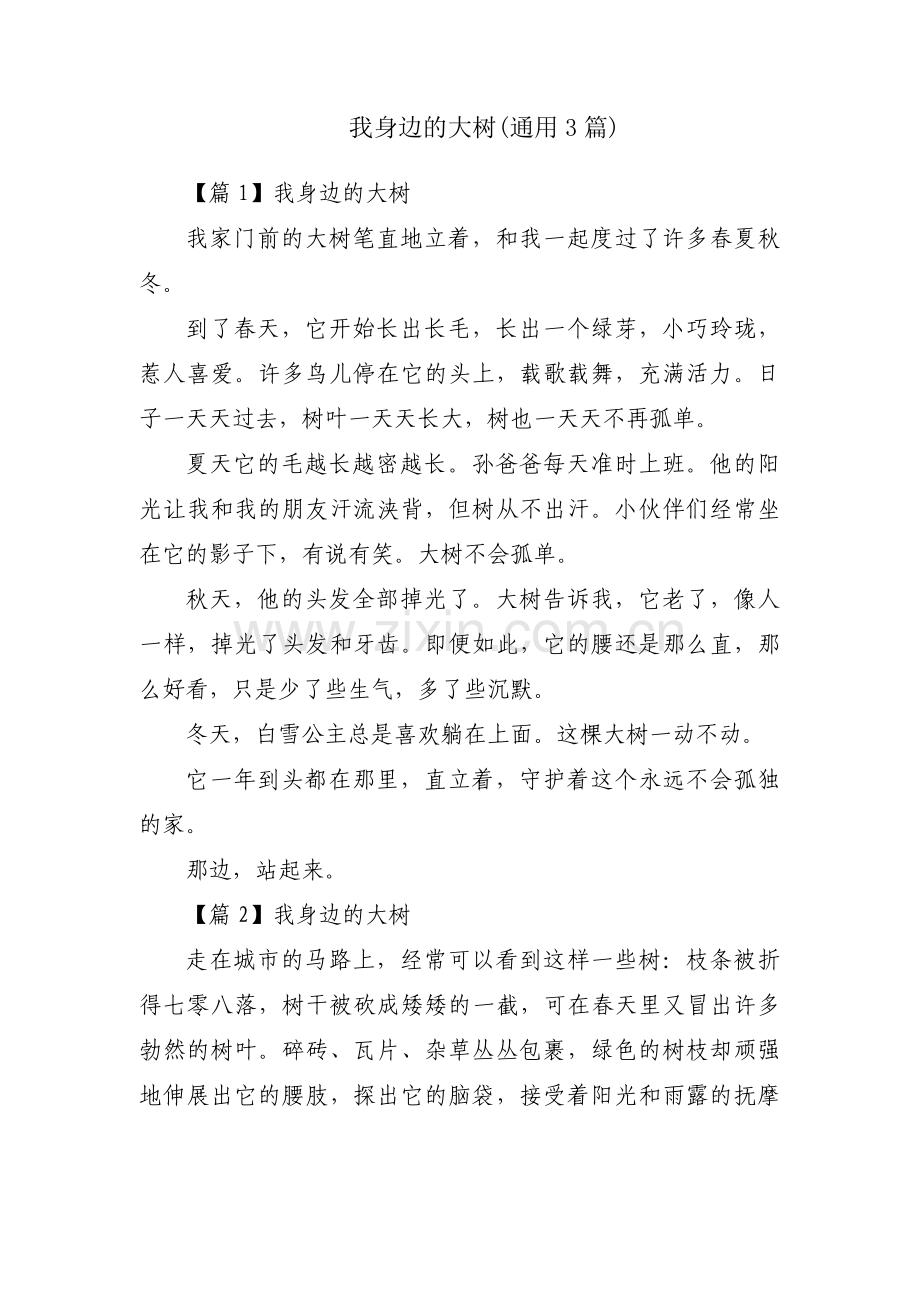 我身边的大树(通用3篇).pdf_第1页