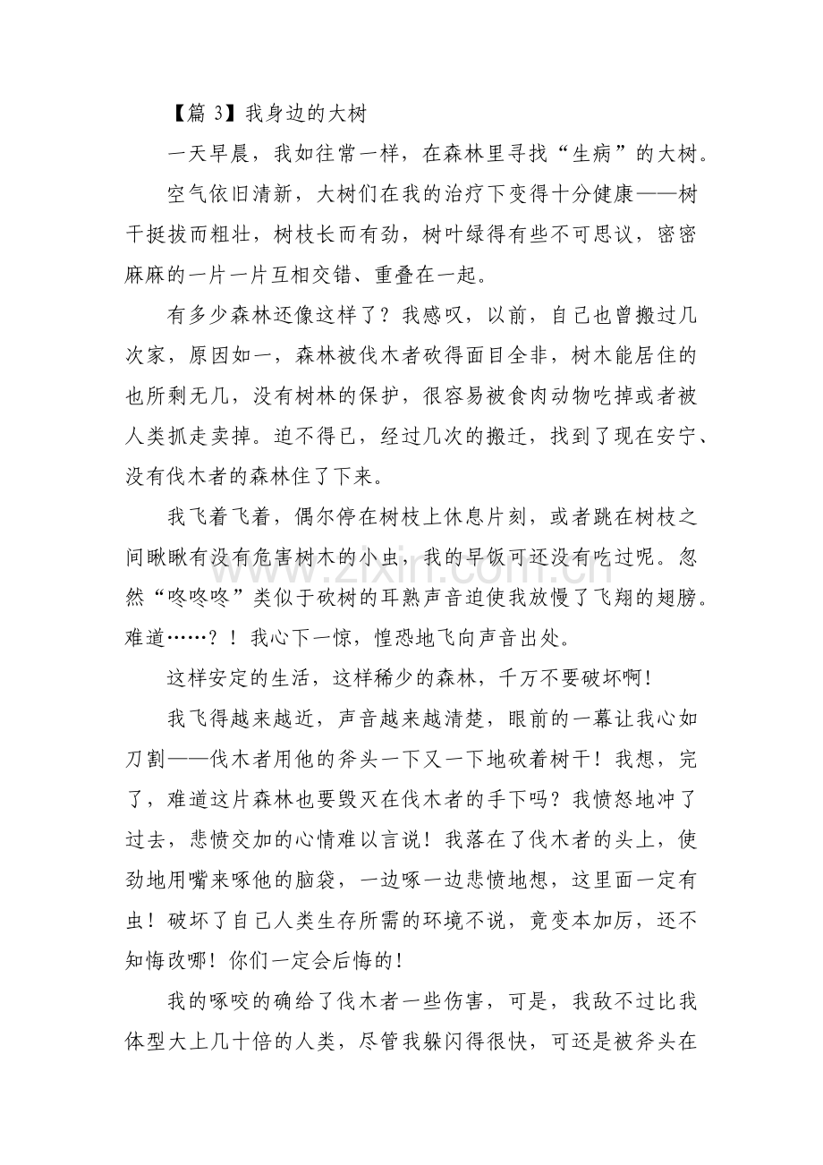 我身边的大树(通用3篇).pdf_第3页