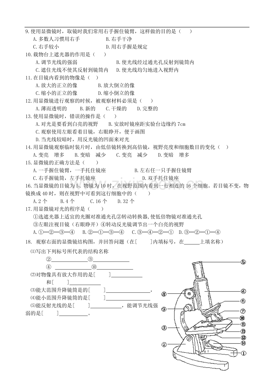 七年级生物上册-练习使用显微镜导学案(无答案)-人教新课标版.doc_第3页