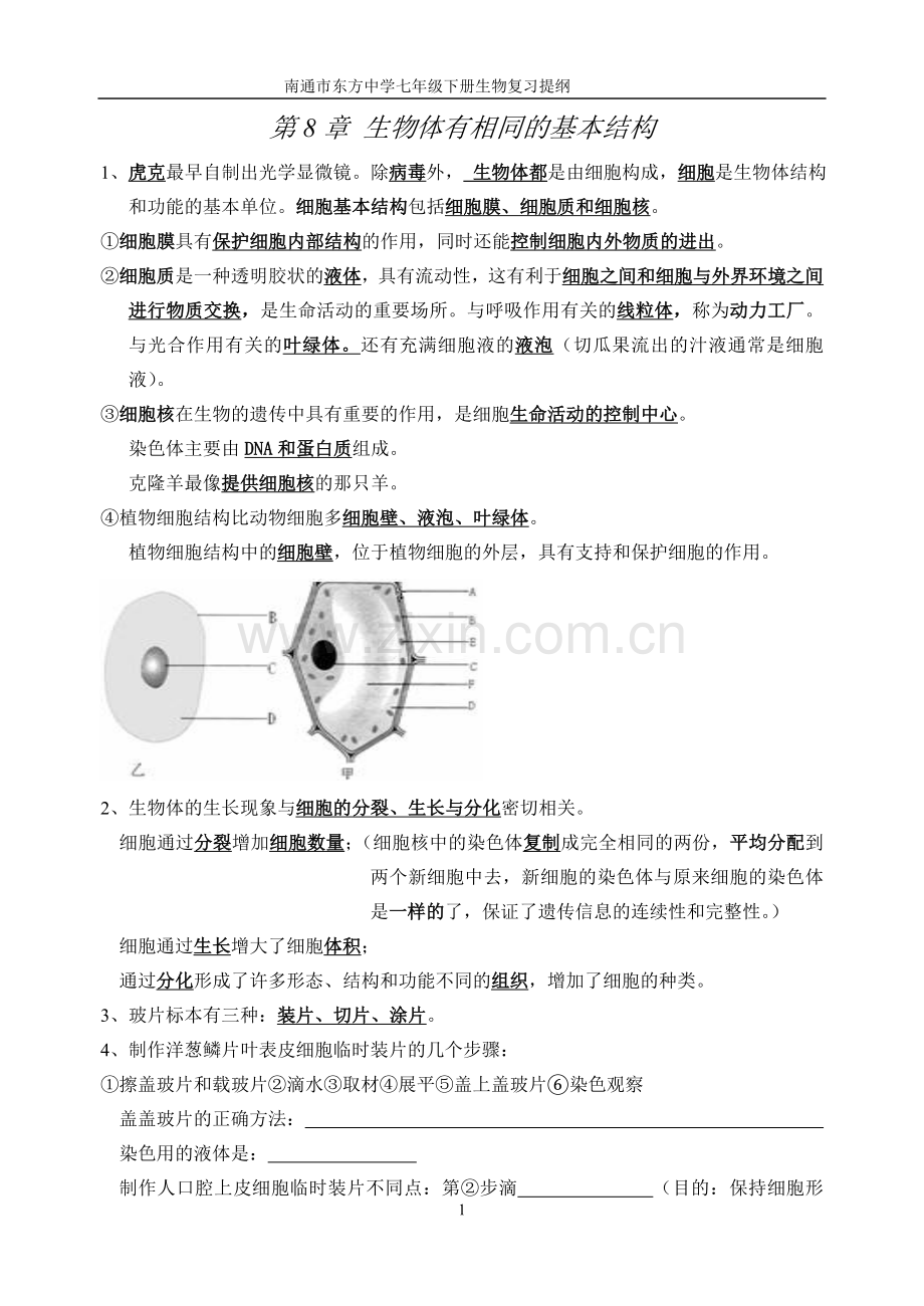 七下复习提纲.doc_第1页