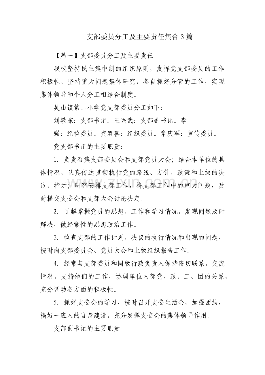 支部委员分工及主要责任集合3篇.pdf_第1页