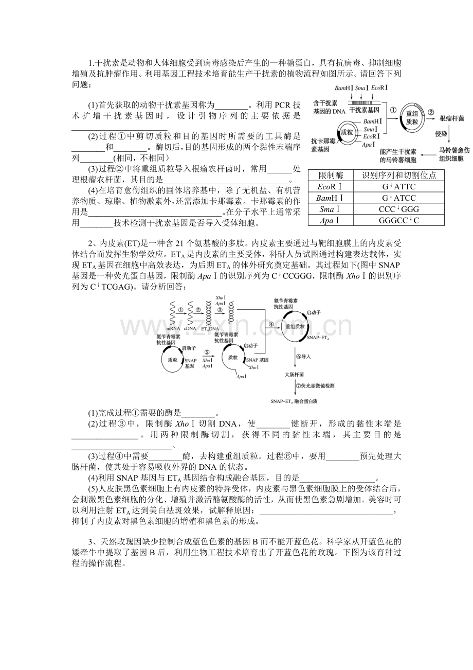 基因工程训练题.doc_第1页