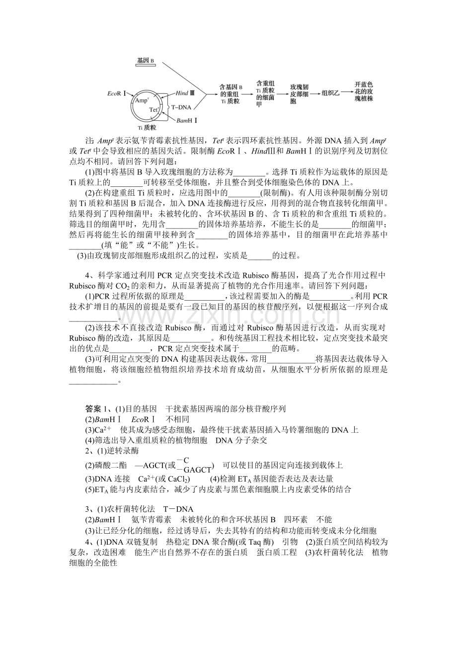 基因工程训练题.doc_第2页