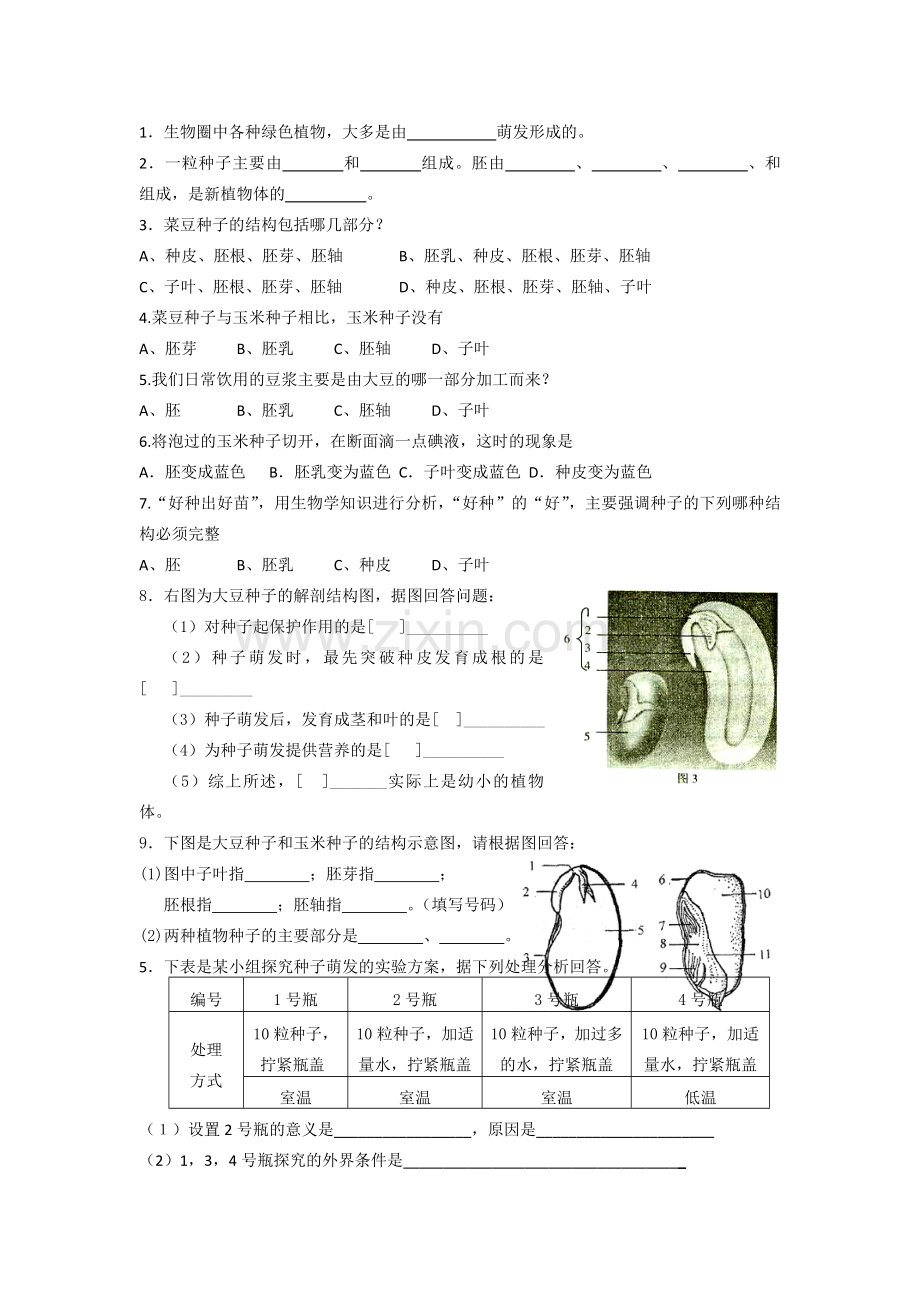 七年级生物导学案.doc_第2页