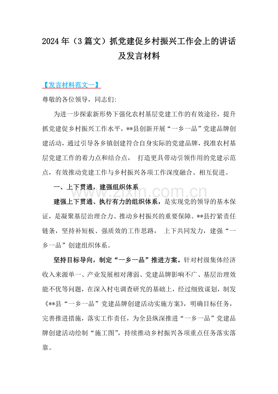 2024年（3篇文）抓党建促乡村振兴工作会上的讲话及发言材料.docx_第1页