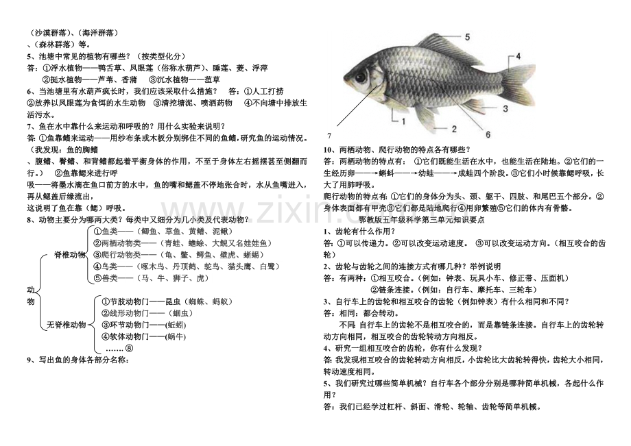 鄂教版五年级科学各单元复习资料.doc_第2页