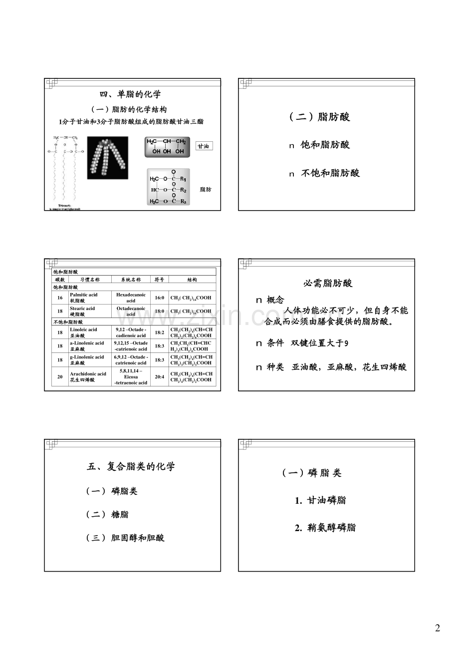 第七章 脂类代谢.pdf_第2页