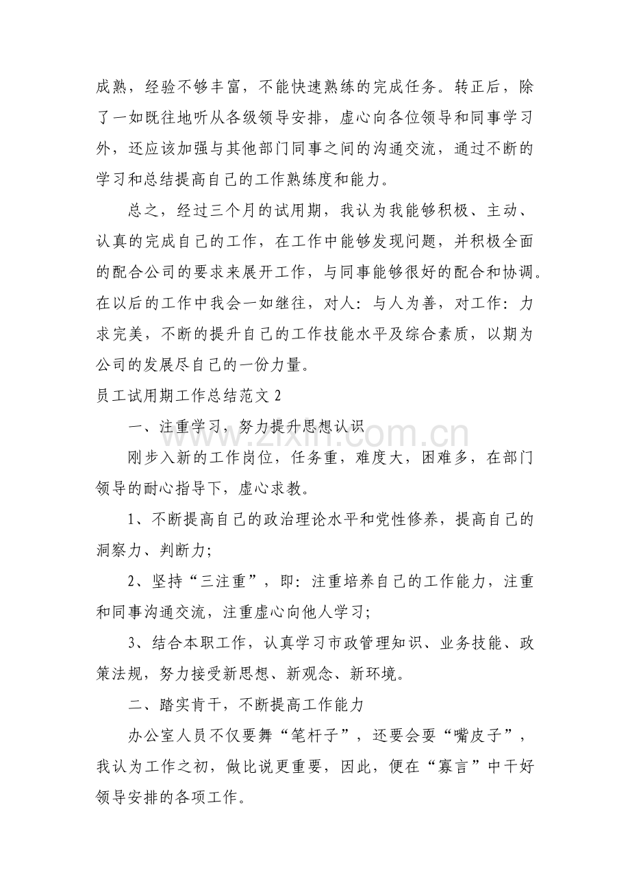 员工试用期工作总结范文六篇.pdf_第2页