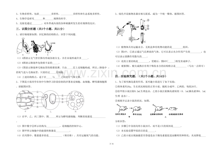 七年级生物上册期末考试题.doc_第3页