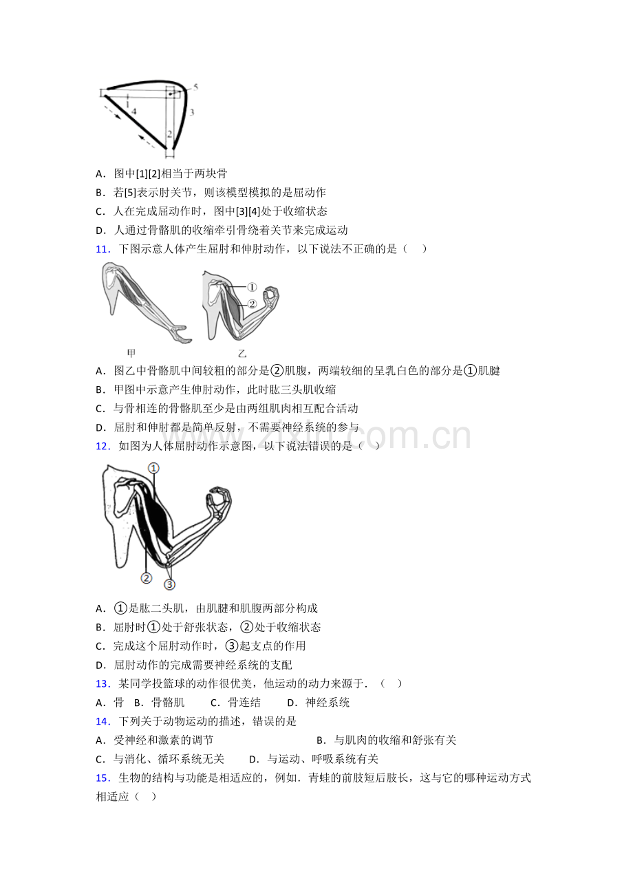 汕头市生物八年级上册期末试卷含答案.doc_第2页