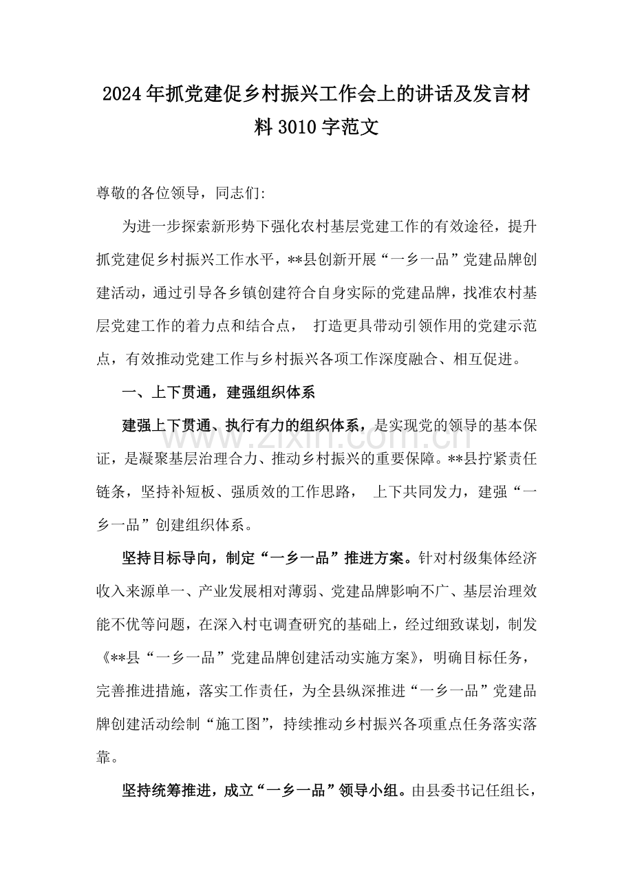 2024年抓党建促乡村振兴工作会上的讲话及发言材料3010字范文.docx_第1页