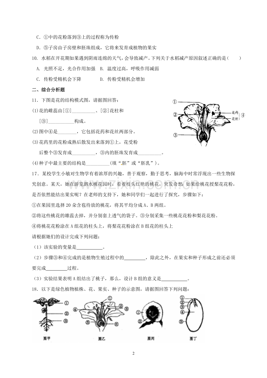 _开花和结果检测题.doc_第2页