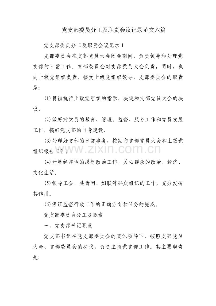 党支部委员分工及职责会议记录范文六篇.pdf_第1页