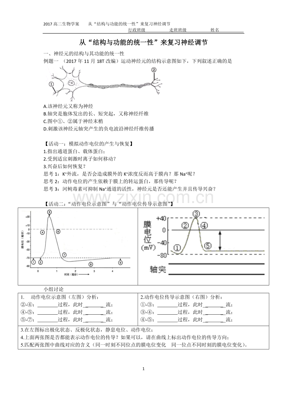 神经系统的结构和功能.docx_第1页