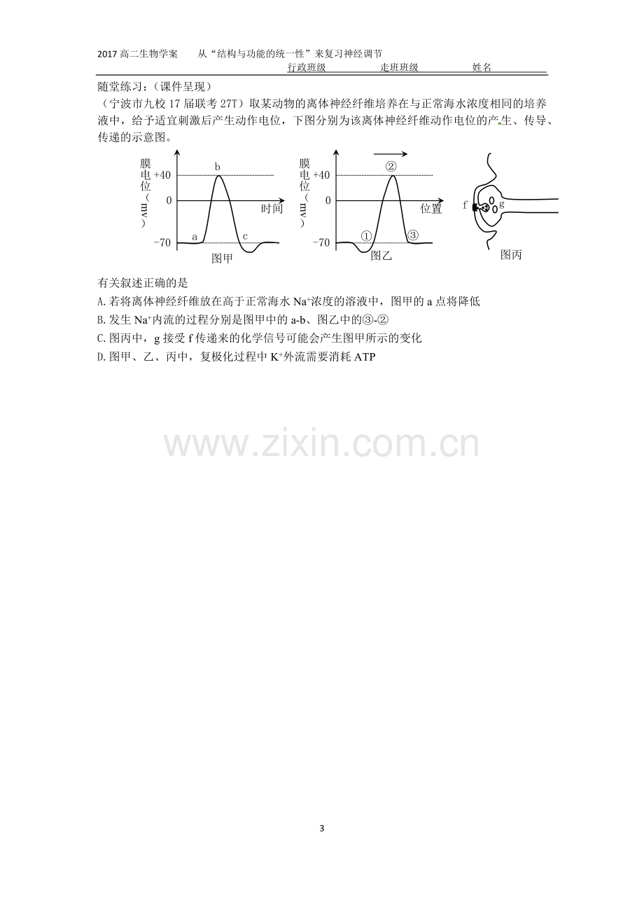 神经系统的结构和功能.docx_第3页