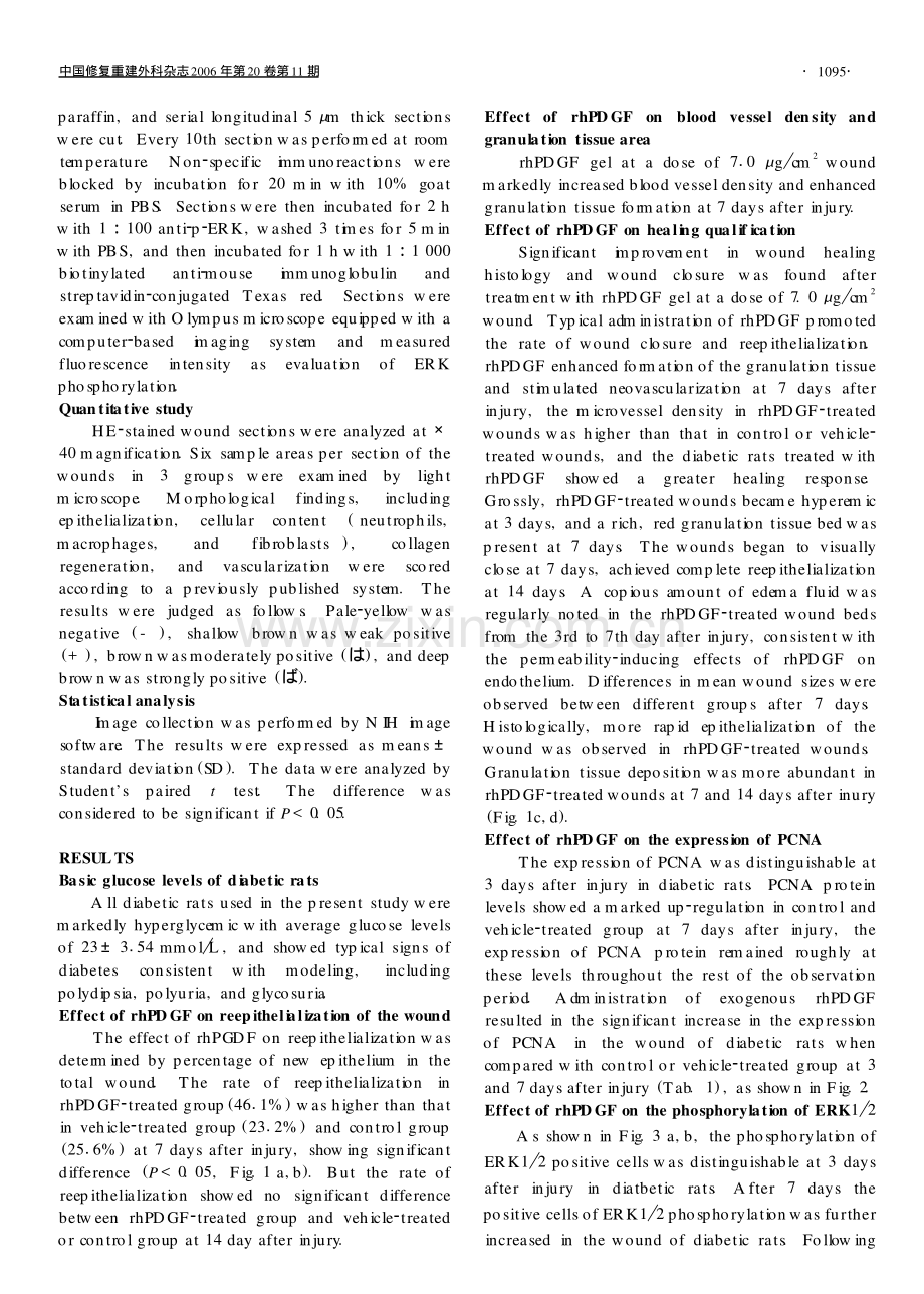 重组人血小板源性生长因子增加细胞外信号调节激酶磷酸化促进糖尿病大鼠全层皮肤缺损创面愈合.pdf_第3页